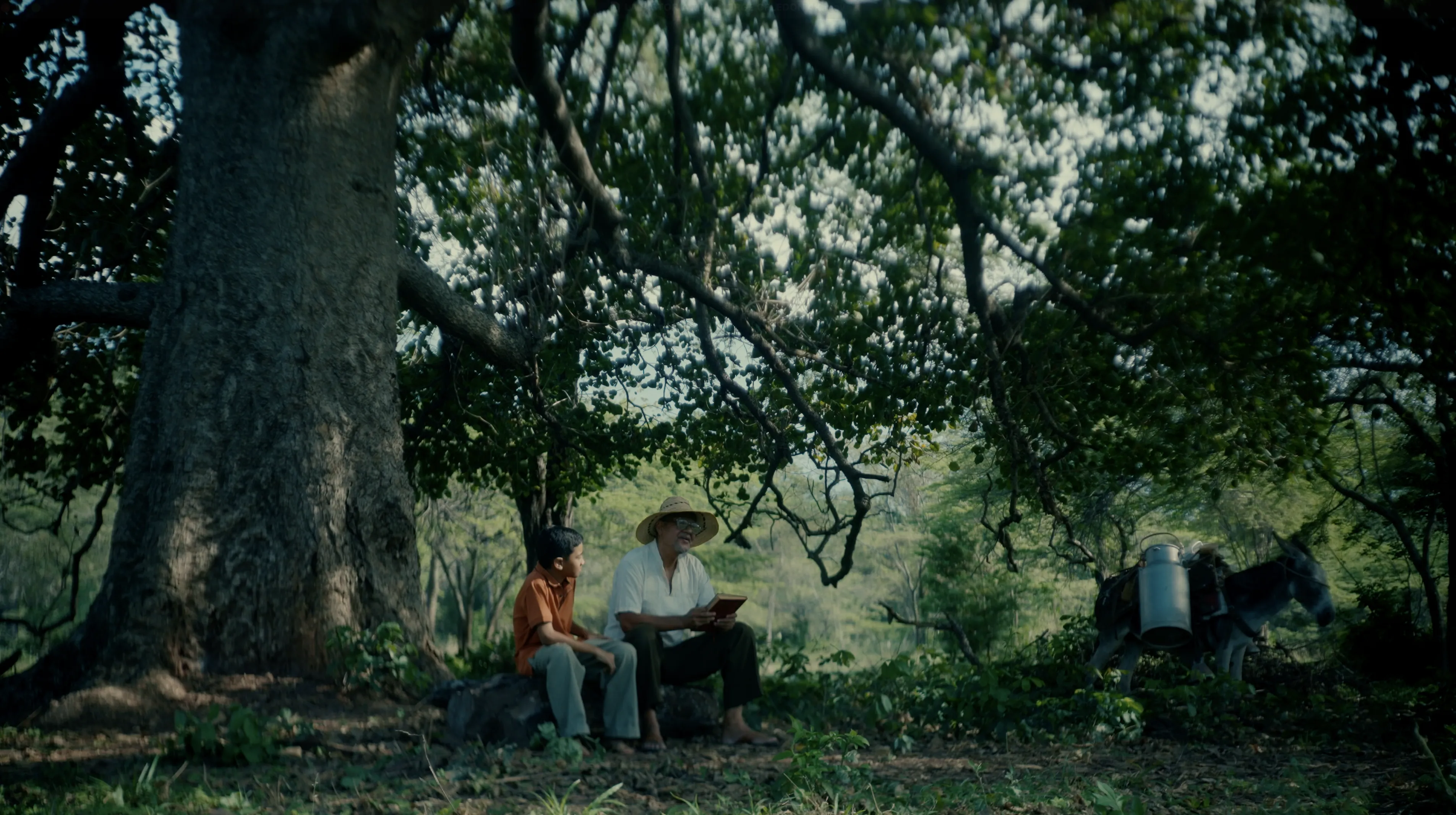 Still de ficción